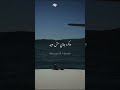 هيبقو يحلمو يشوفونا