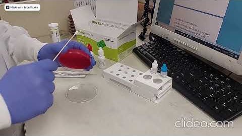 SureVue Signature Strep A Test