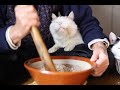 しろとくるみ餅つくり Peeling Fresh Walnuts 191231