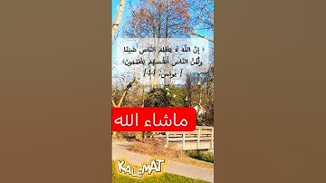 كن متيقنا من عدل  الله التام  . # قرآن كريم #quran #ناصر_القطامي #لايك #flying birds #المصحف #الرحمن