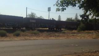 Locomotive 1969 takes the freight