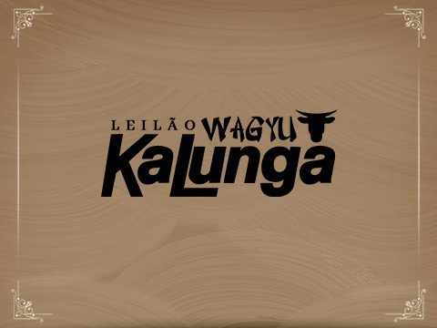 Lote 14 (Chika II 24 FIV Kalunga - WAGY 24)