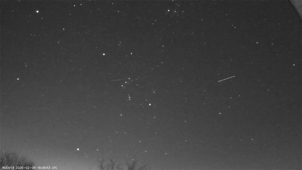 2026-02-10-RU0019-Кочеванчик