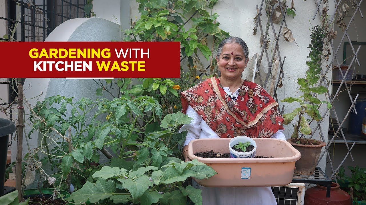 Home Composting and Gardening With Kitchen Waste Vaani Murthy The