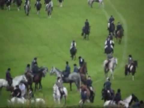 Kelso Laddie, Hume ride out, Scottish Borders, 2011