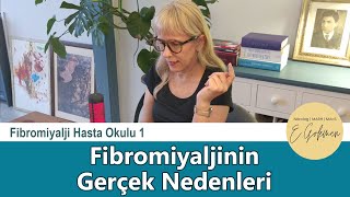 Fibromiyaljinin Gerçek Nedenleri - Fibromiyalji Hasta Okulu 1