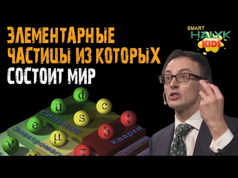 Кирпичики вселенной: Элементарные частицы из которых состоит мир. Лекция профессора Дэвида Тонга.