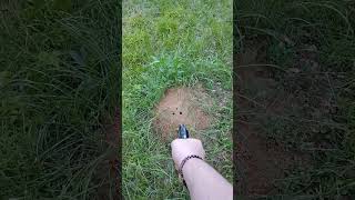 Shooting The 22lr High Standard Sentinel #oldies #airsoft #edcgear