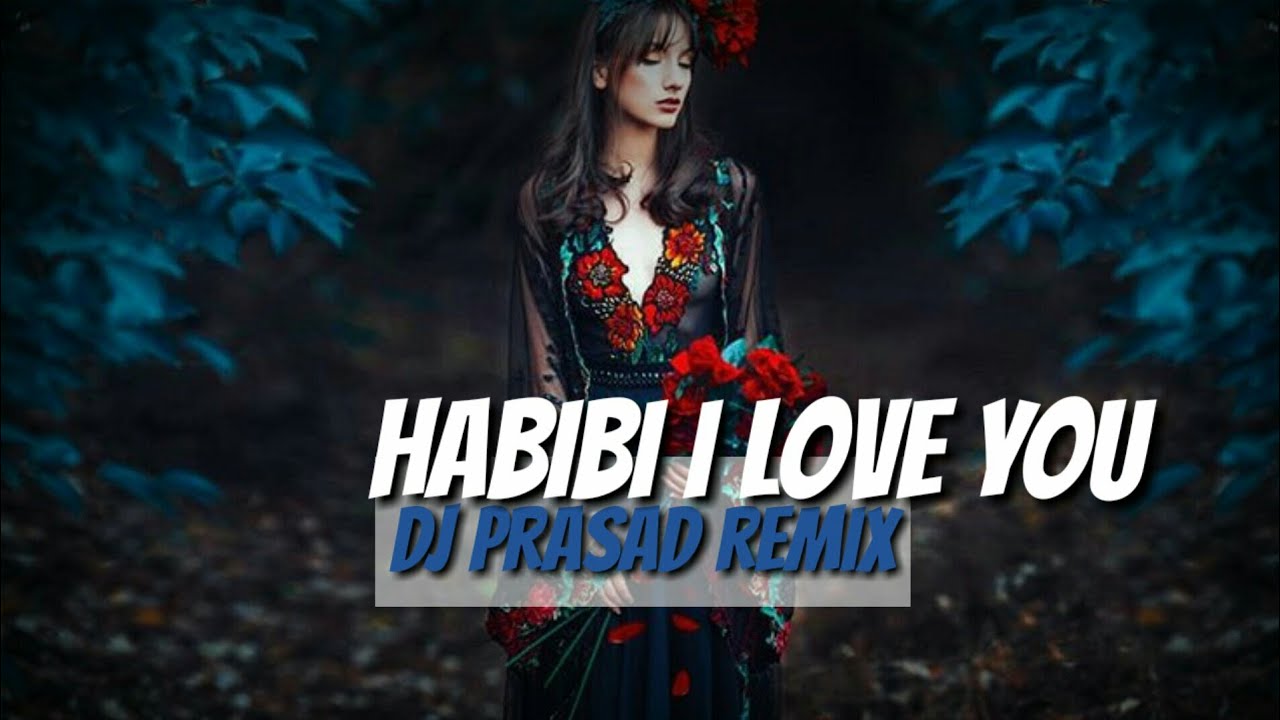Habibi I Love You Remix Dj Prasad Musical Zone YouTube