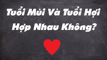 🔥(Rất Đúng) Tuổi Mùi Và Tuổi  Hợi Có Hợp Nhau Không?Xem Tuổi Vợ Chồng Chuẩn Nhất|Tử Vi 365