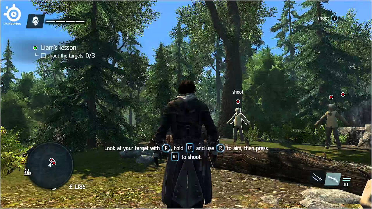 The Steelseries Animus (Assassin