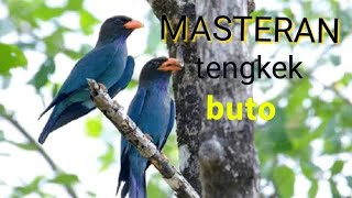 Download Lagu TENGKEK BUTO GACOR cocok untuk masteran burung murai batu    #masteran #tengkekbuto #kicaumania MP3 Download Lagu TENGKEK BUTO GACOR cocok untuk masteran burung murai batu    #masteran #tengkekbuto #kicaumania MP3