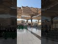 من ساحات المسجد النبوي 13 شعبان 1446