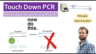 How Touch Down Pcr Works? Pcr Problem Non-Specific Amplification