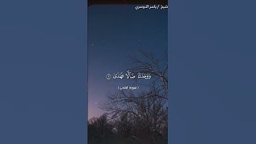 سورة الضحى كاملة بصوت الشيخ ياسر الدوسري❤❤