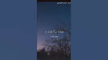 سورة الضحى كاملة بصوت الشيخ ياسر الدوسري 