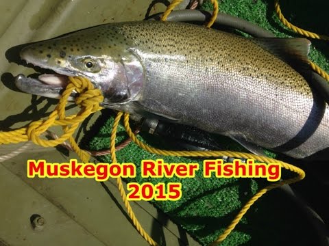 Steelhead Fishing 2015 Muskegon River