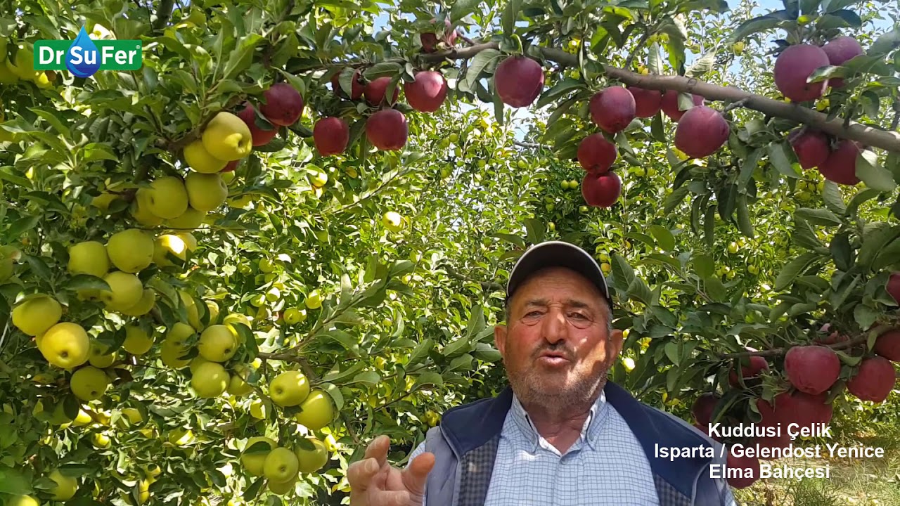 Kuddusi Çelik - Elma Bahçesi Isparta/Gelendost Yenice