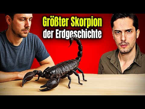 Largest scorpion in Earth's history: How dangerous would it be?
