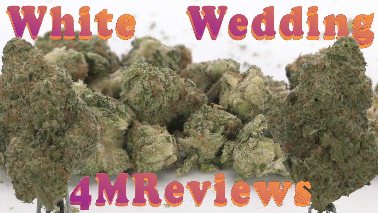White Wedding👰Get Hitched or Ditched? | Minnesota Medical Marijuana Review |  Green Goods Vireo
