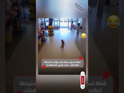 قطه تسرق سمكه والشرطه تلاحقها قطة اكسبلور ضحك    تيك توك كوميديا