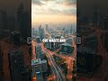 Cities in Harmony The Living Grid Reimagined