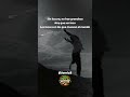 Sin locura no hay grandeza #frases #reflexiones #vida #motivacion #amor