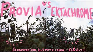 Fuji Provia 100 Vs Kodak Ektachrome 100 But Casual- O&A Ep.6