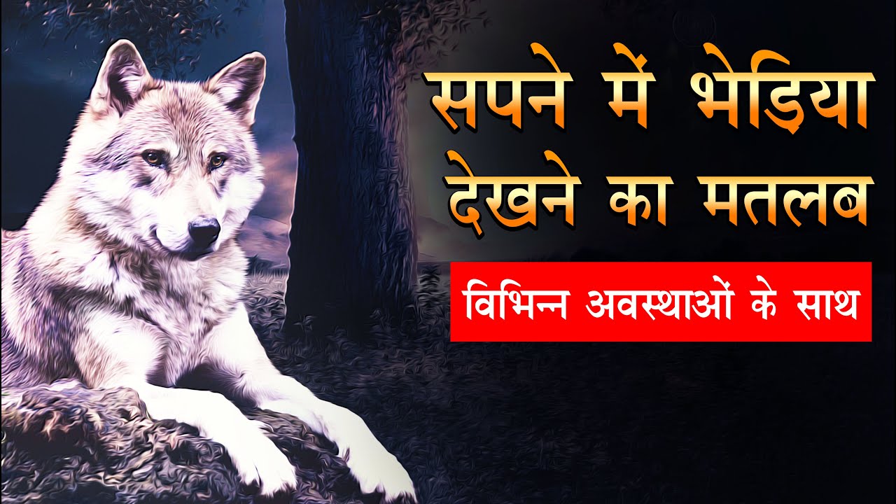 Sapne me bhediya dekhna। Seeing wolf in dream Meaning | sapne me wolf dekhna Kaisa hota hai