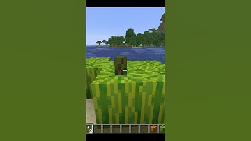 Minecraft Build Hacks!! #shorts #minecraft #minecraftbuilds