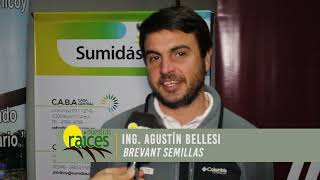 Ing  Agustín Bellesi   Brevant Semillas