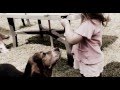 Il Gelato Tra Bimba E Cane - Ice Cream Between Child And Dog