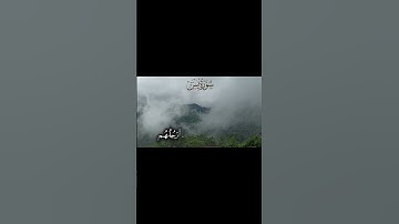 من سورة يس 🎧❤️  #ياسر_الدوسري #قرآن #سورة_يس#اكسبلور #explore