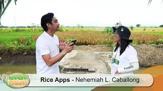 Rice Apps screenshot 4