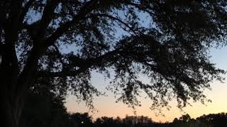 Marriott Cypress Harbour Twilight grounds tour! Orlando Florida! Marriott Vacation Club Disney villa