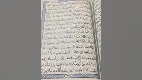 تلاوة جميلة من سورة النحل - القارئ أحمد العربى