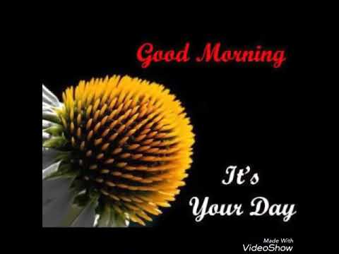 Bangla Good Morning Song Youtube