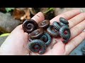 #Millipede  The Best Skill Insect Hunting Moments Around My Home! 😳 Millipedes