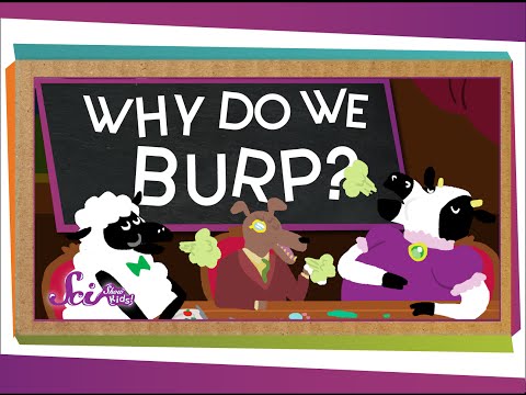 Why Do We Burp?