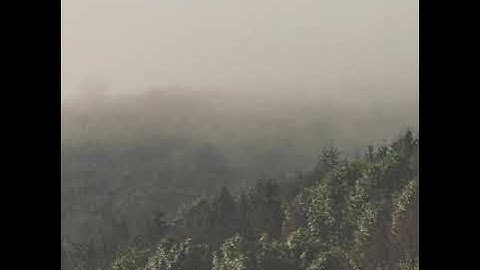 تلاوة رائعة من صلاة التراويح