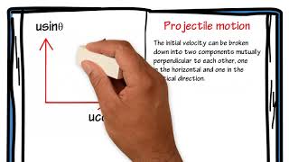 4.8 Class 11 Projectile Motion.wmv