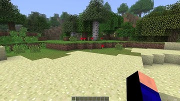 Minecraft Color Outlines Mod Review | 1.1 | Episode 22 |