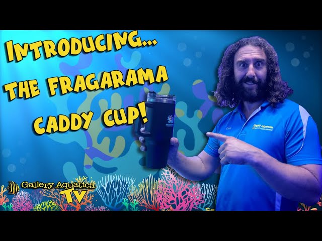 Introducing the Fragarama Caddy cup! | Gallery Aquatica TV class=