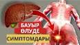 Видео по запросу "бауыр ауруының алғашқы белгілері"