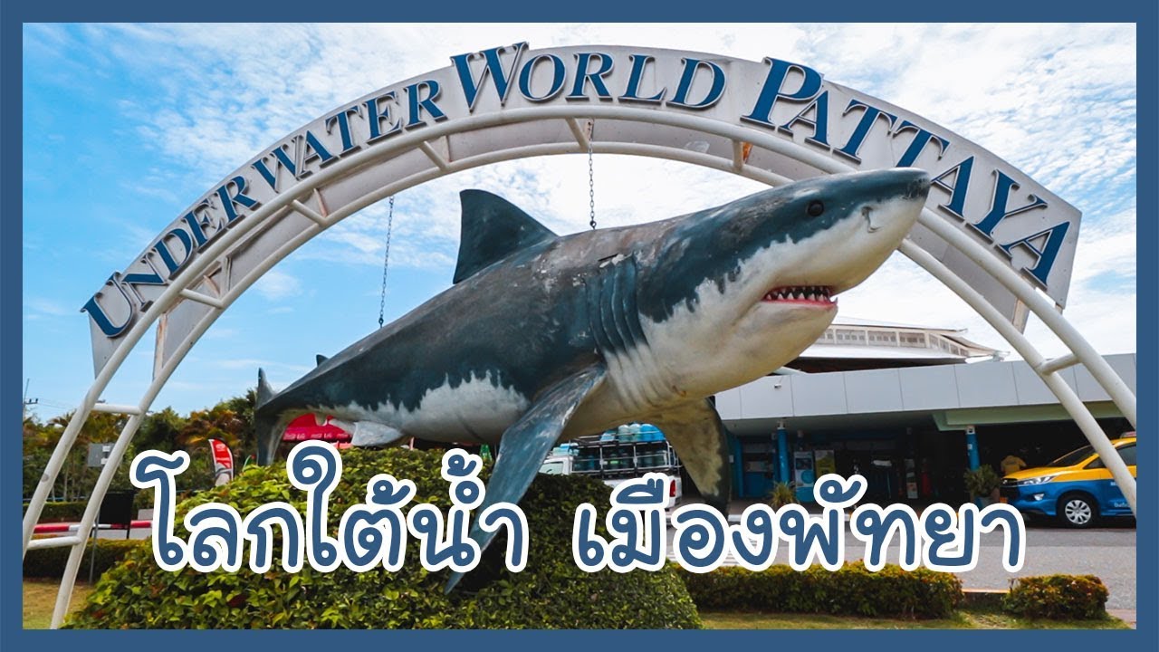 ไปเที่ยวโลกใต้น้ำ ที่ เมืองพัทยา (Underwater World Pattaya)