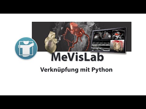 MeVisLab: Python Datei mit Window verknüpfen