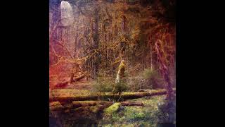 Slidecamp - Geometer