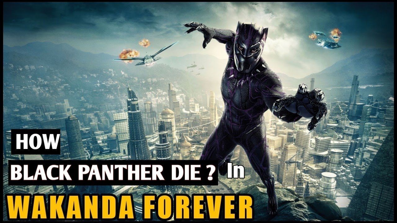 How BLACK PANTHER Die In Wakanda Forever Explained WAKANDA FOREVER 