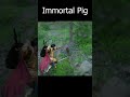 Watch me try to defeat the legendary Immortal Pig! in Crimson Desert #shorts