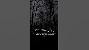 Quran kareem surah Taha-القران الكريم سورة طه#شريف_مصطفى #quran #القرآن_الكريم #الله 🤲🌍